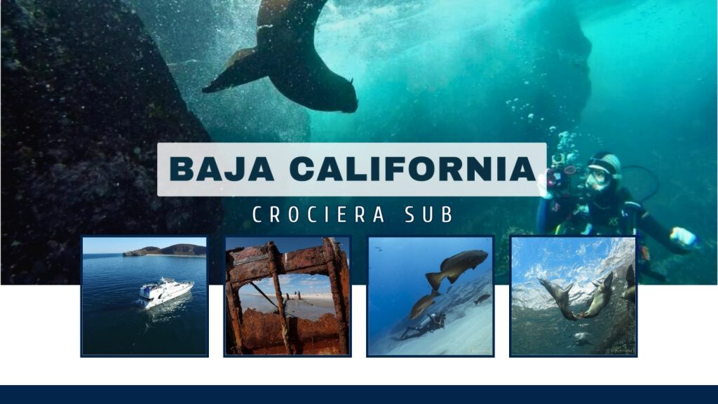 crociera sub Baja California