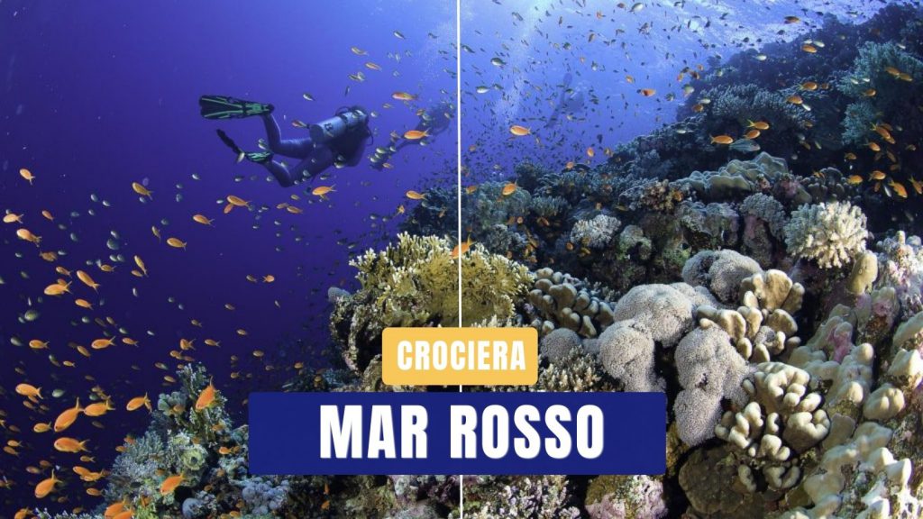 crociera sub daedalus mar rosso