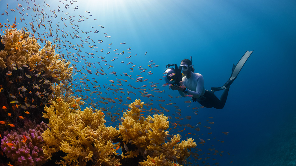 fotografia subacquea barriera corallina