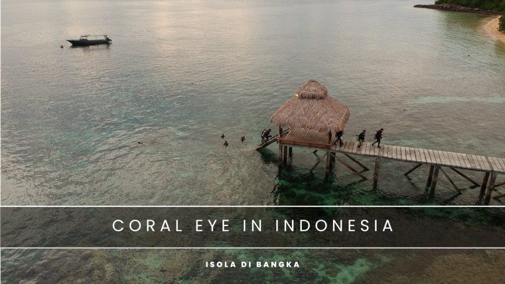 coral eye indonesia nosytour