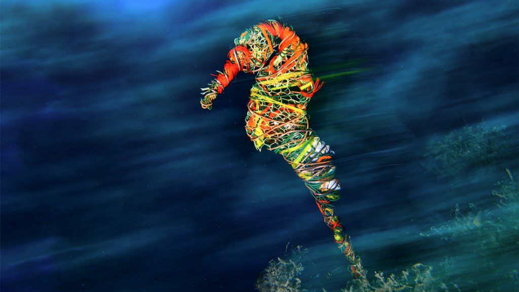 iardino campionati italiani fotografia 2023