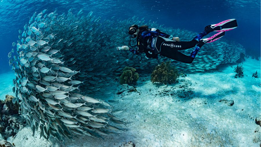 aqualung-subacquea-responsabile