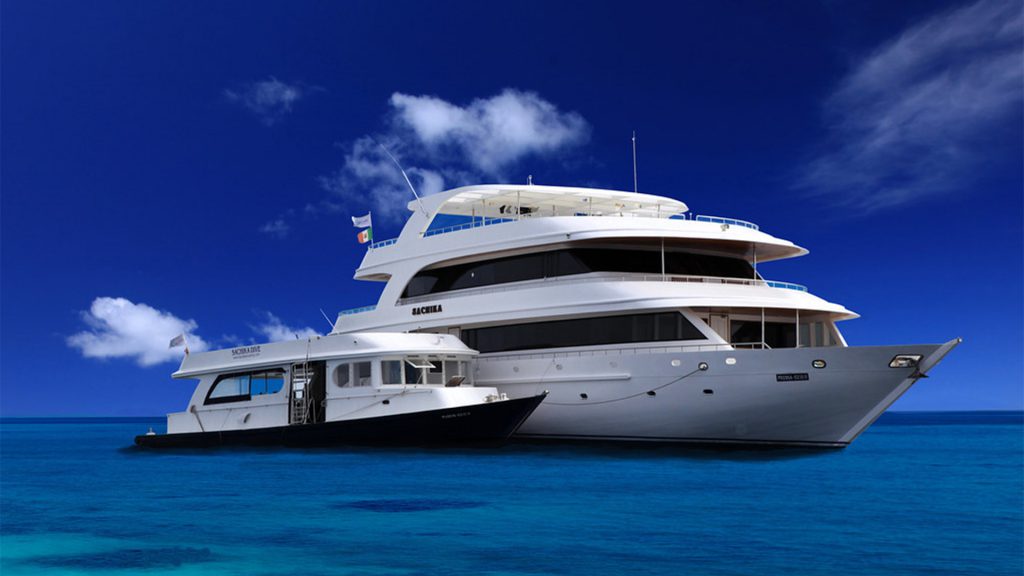 nosytour sud-maldive-crocier