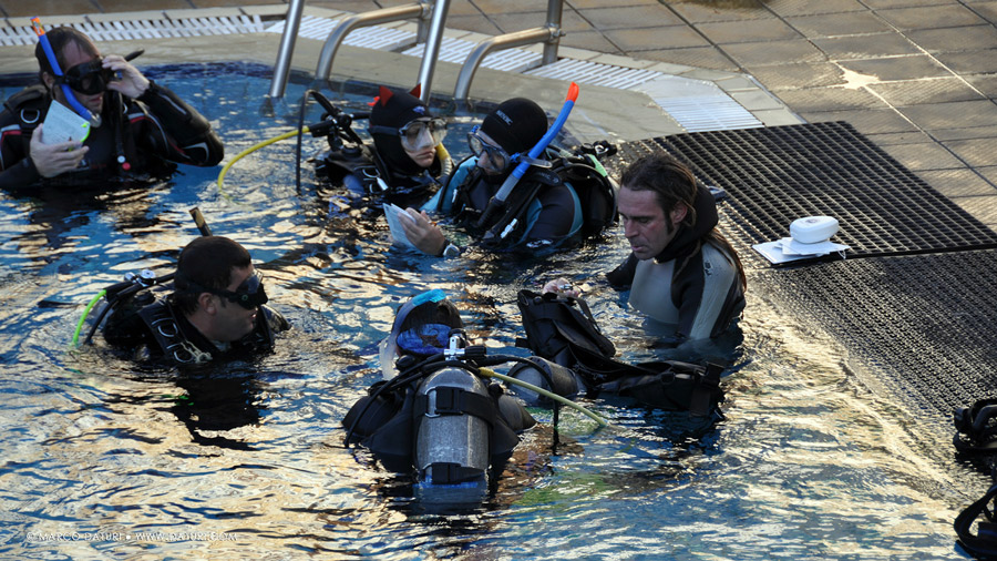 scegliere bravo istruttore subacqueo