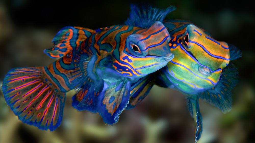 viaggio fotografico mete filippine