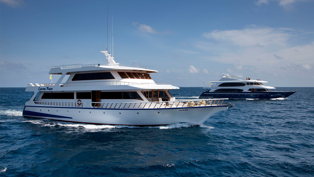 maldive offerte estate crociera sub