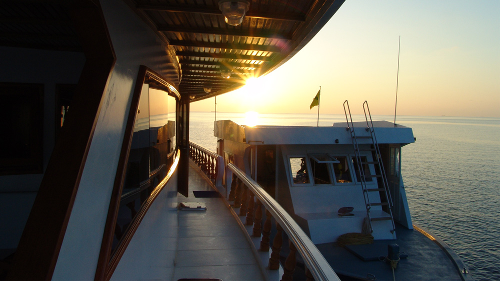 conte max crociera dan albatros