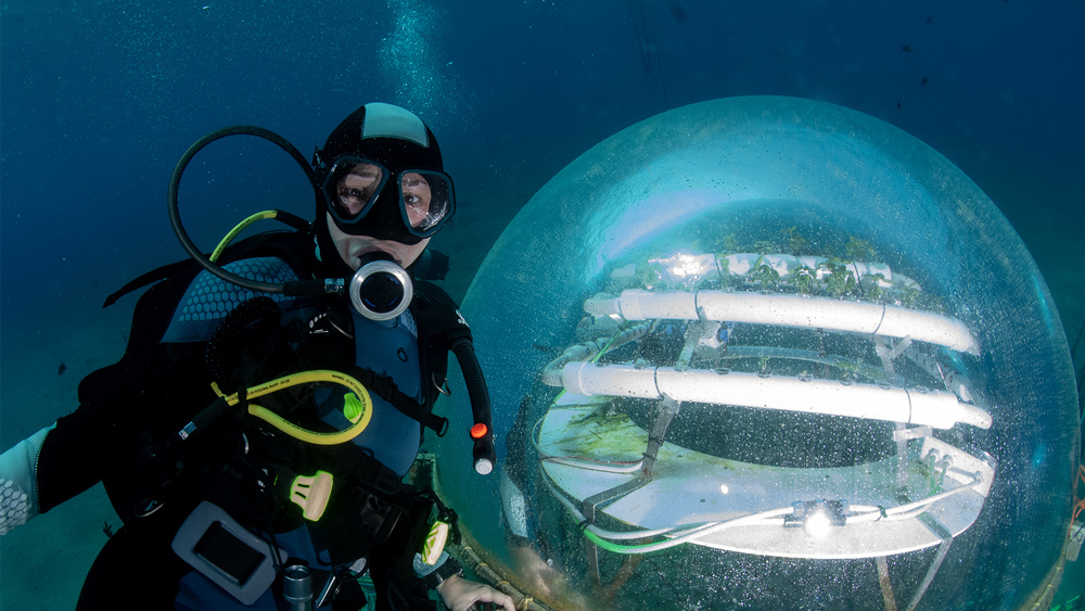 immersioni subacque noli podcast