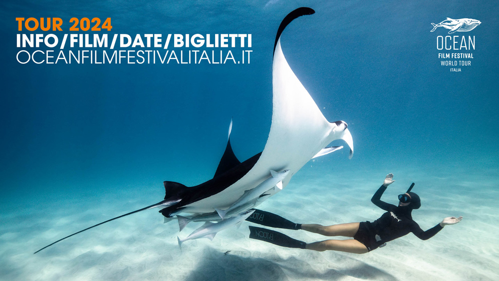 ocean film festival 2024