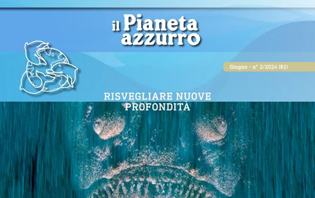 pianeta azzurro profondita 2 2024 foto pesce pietra formis