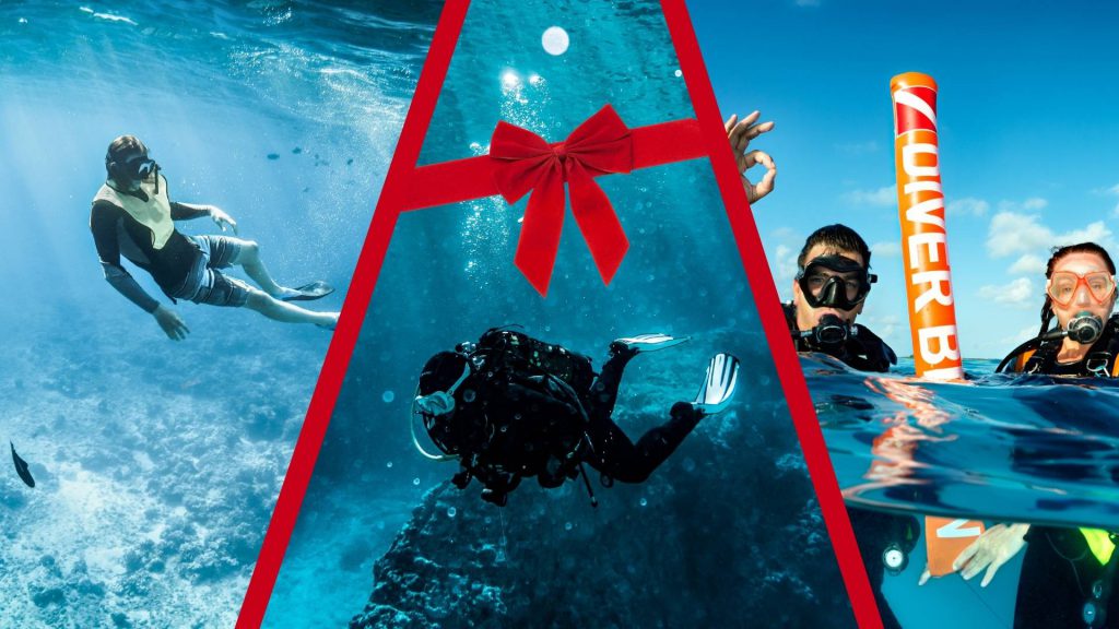 idee regalo natale subacqueo
