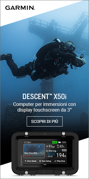 Garmin Descent X501