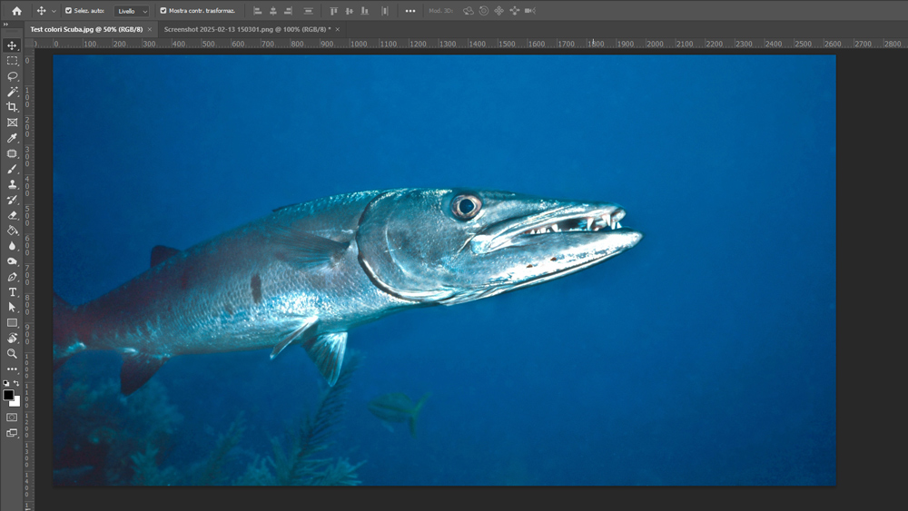 i colori sullo schermo del computer
