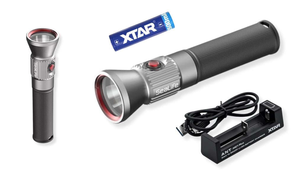 Sea life sea dragon mini