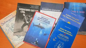 recensione manao sbandati plancton corrente