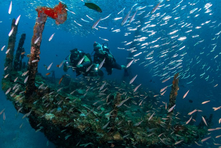euro divers egitto utopia beach relitto 768x513