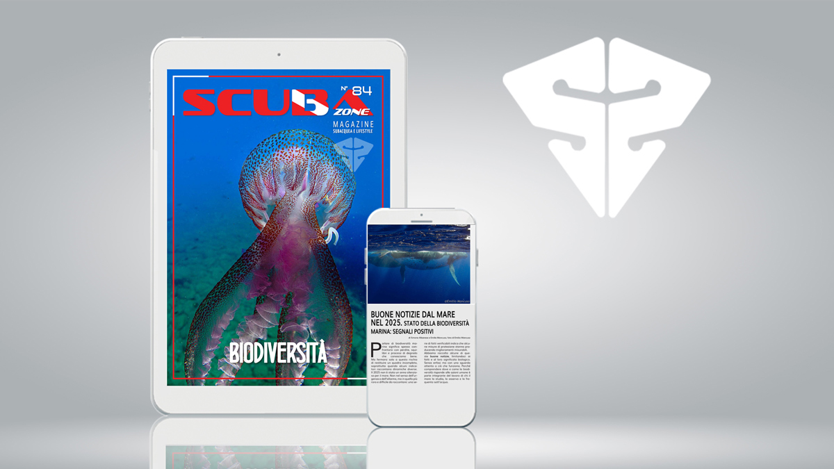 scubazone 84 magazine subacquea online